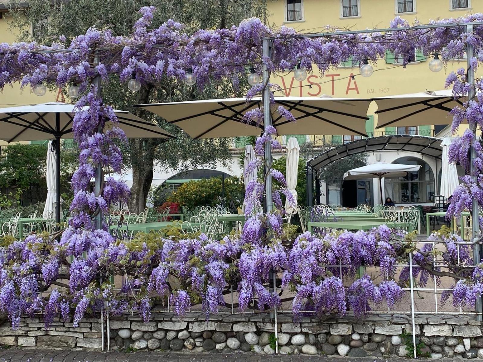 Albergo Bellavista Limone sul Garda Eksteriør bilde
